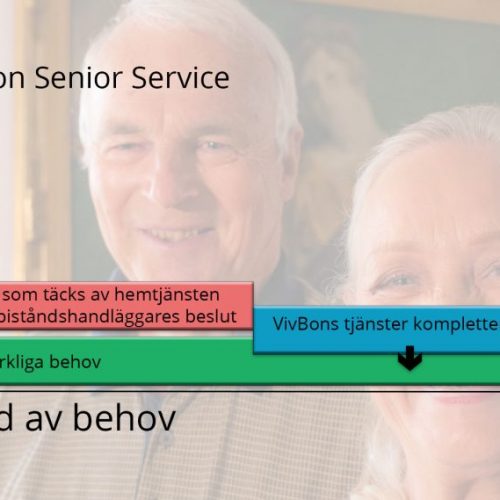 Vivbon Senior Service behovs graf