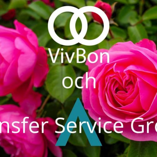 VivBon och Transfer Service Group